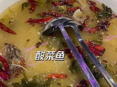 -九毛九西北菜(百信广场店)