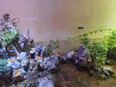 -杭州香格里拉·香宫中餐厅