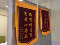 -艾吉宠物医院·疑难杂症转诊中心·猫友好(碧江路院)