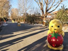 -南宫五洲植物乐园