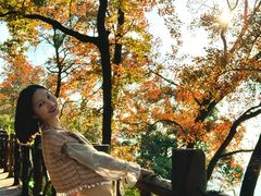 -广州市石门国家森林公园