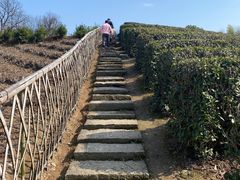 -绍兴东湖风景区