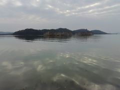 -东湖落雁景区