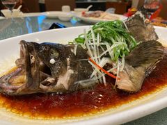 清蒸游水海石斑-南海渔村(珠江新城店)