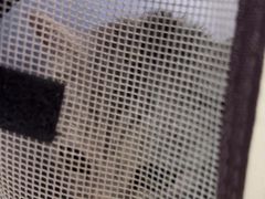 -瑞鹏宠物医院·内科·中兽医·骨科(苗圃店)