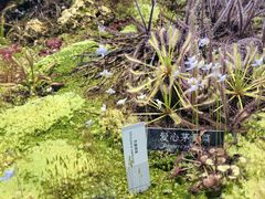 -国家植物园南园