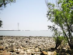 -上海吴淞炮台湾国家湿地公园