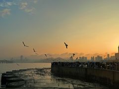 -星海广场