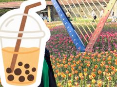 -沈阳植物园