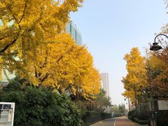 -北外滩滨江绿地