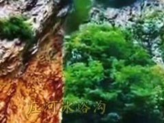 -大连冰峪旅游度假区