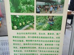 -庞各庄翠芳园西瓜蔬菜基地采摘园