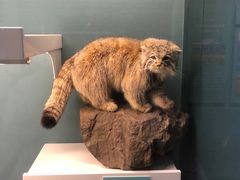 -国家自然博物馆