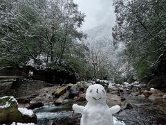 -西岭雪山大飞水景区