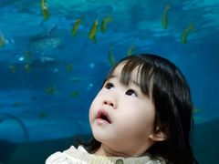 -福州罗源湾海洋世界旅游区