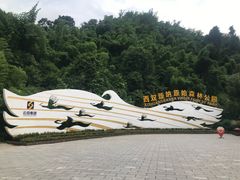 -西双版纳原始森林公园