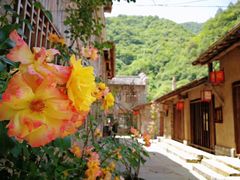 -牛背梁国家森林公园
