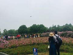 -尚贤河湿地