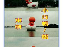 -东湖生态旅游风景区
