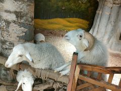 -正佳雨林生态植物园