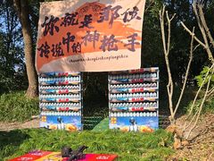 -自然谷恐龙园