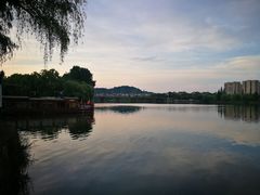 -善园自助餐厅(君澜·绍兴鉴湖大酒店)