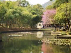 -兰亭风景区