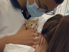 -纳吉亚猫专科动物诊疗中心(蒋宅口分院)