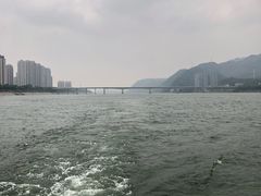 -桐君山春江扬帆码头