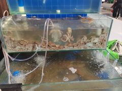 -常家活海鲜小吃(仅一家无分店)