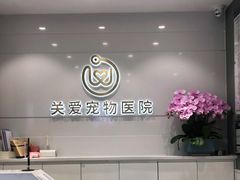 -关爱宠物医院·猫科中心·消化科(滨湖万达分院)
