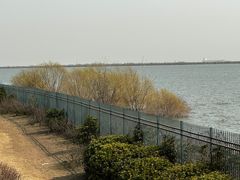 -江滩湿地公园