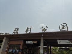 -自然谷恐龙园
