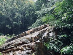 -湖洞水自然风景区