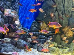 -成都浩海立方海洋公园