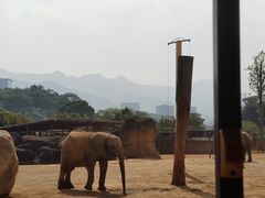 -杭州野生动物世界