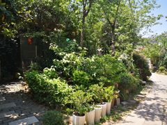 -蜜蜂园花园餐厅