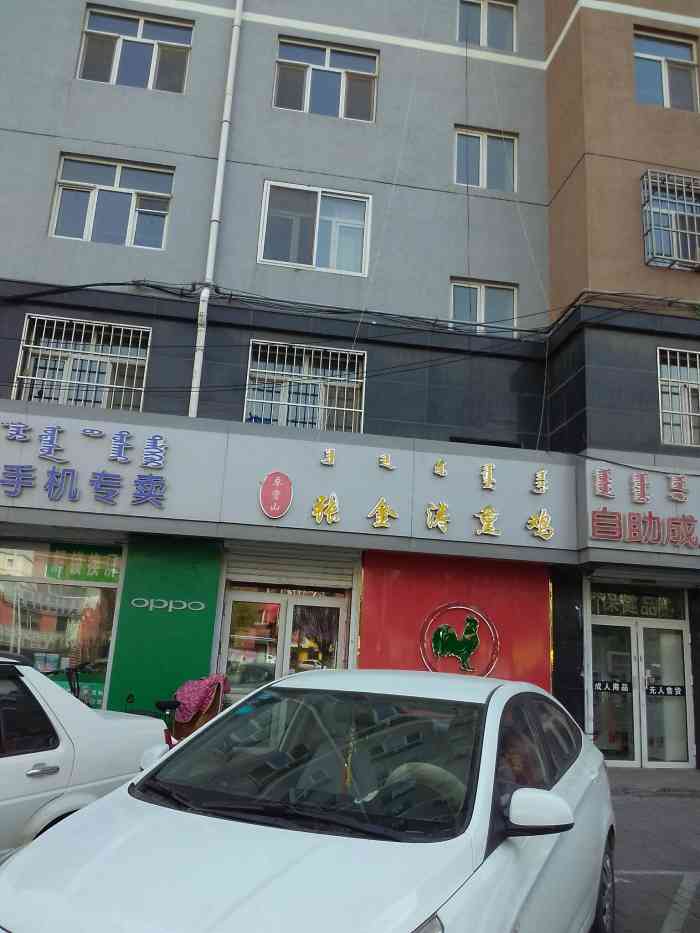 卓资山张金涛熏鸡(七彩城店)