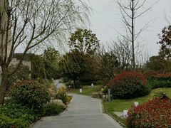 -上海崇明金茂凯悦酒店