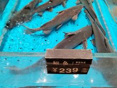 -艳阳天·非遗楚菜(武汉客厅店)