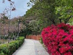 -小南山公园