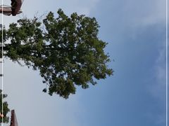 -少华山国家森林公园