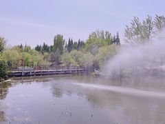 -梅林春晓花园餐厅