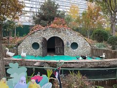 -南宫五洲植物乐园