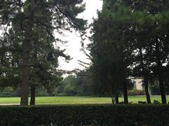 -钓鱼台国宾馆