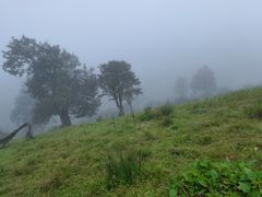 -硗碛藏寨·神木垒景区