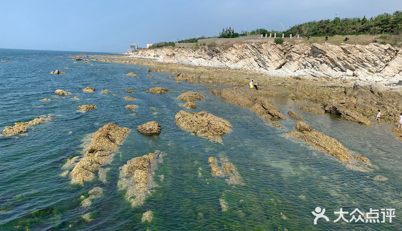 打卡✅抖音网红养马岛🌊🌊