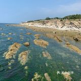 打卡✅抖音网红养马岛🌊🌊