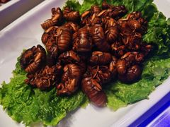 -老德州四合院·德州菜(天衢路店)