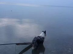 -巢湖姥山岛